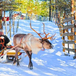 Le Luci del Nord oltre il Circolo Polare Artico